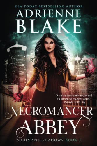 cover image Necromancer Abbey