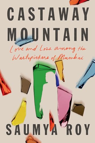 cover image Castaway Mountain: Love and Loss Among the Wastepickers of Mumbai