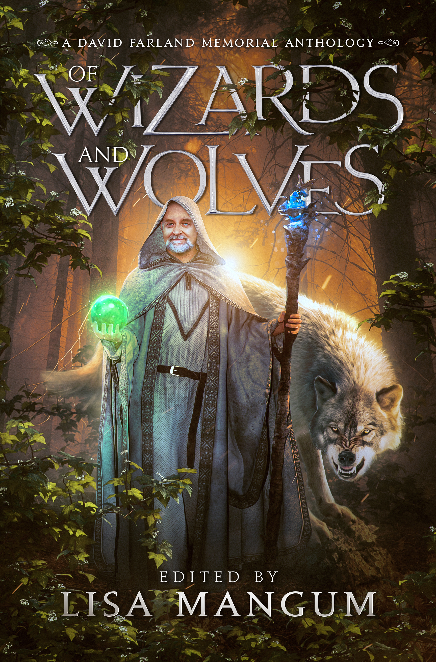 cover image Of Wizards and Wolves
