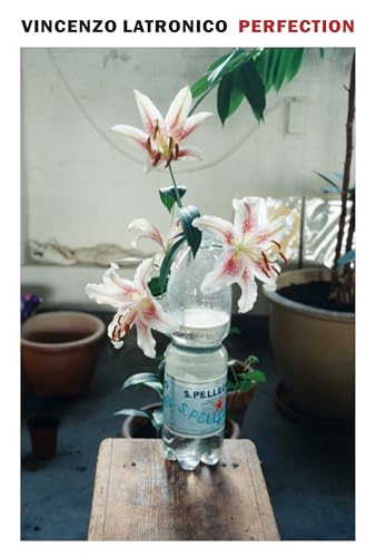 cover image Perfection