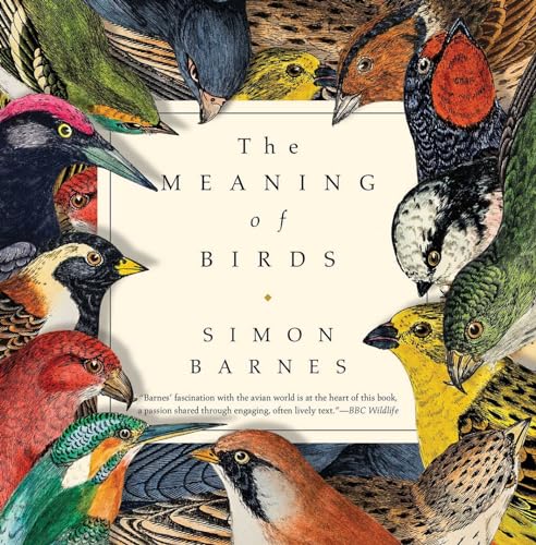 cover image The Meaning of Birds