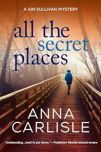 cover image All the Secret Places: A Gin Sullivan Mystery