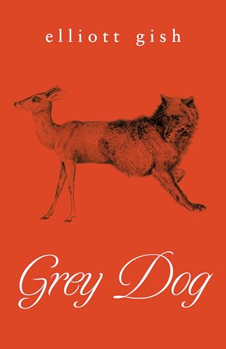 cover image Grey Dog