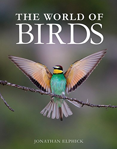 cover image The World of Birds