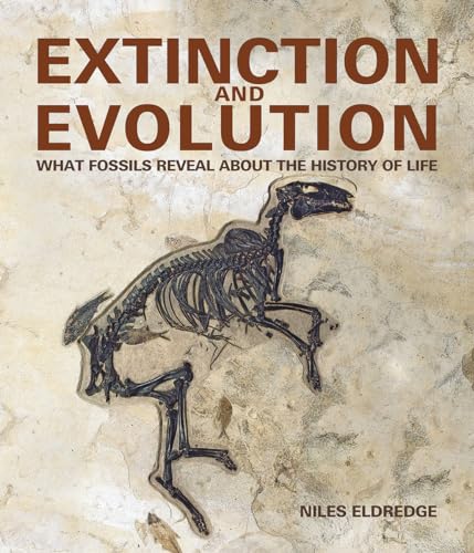 cover image Extinction and Evolution: What Fossils Reveal About the History of Life