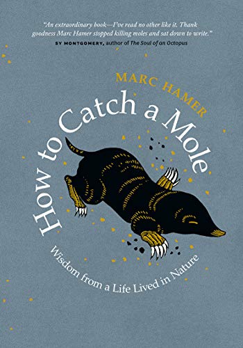 cover image How to Catch a Mole: And Find Yourself in Nature