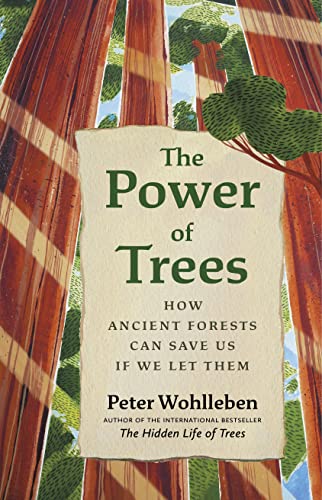 cover image The Power of Trees: How Ancient Forests Can Save Us If We Let Them
