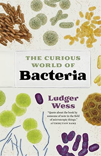 cover image The Curious World of Bacteria