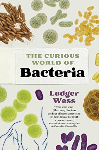 cover image The Curious World of Bacteria
