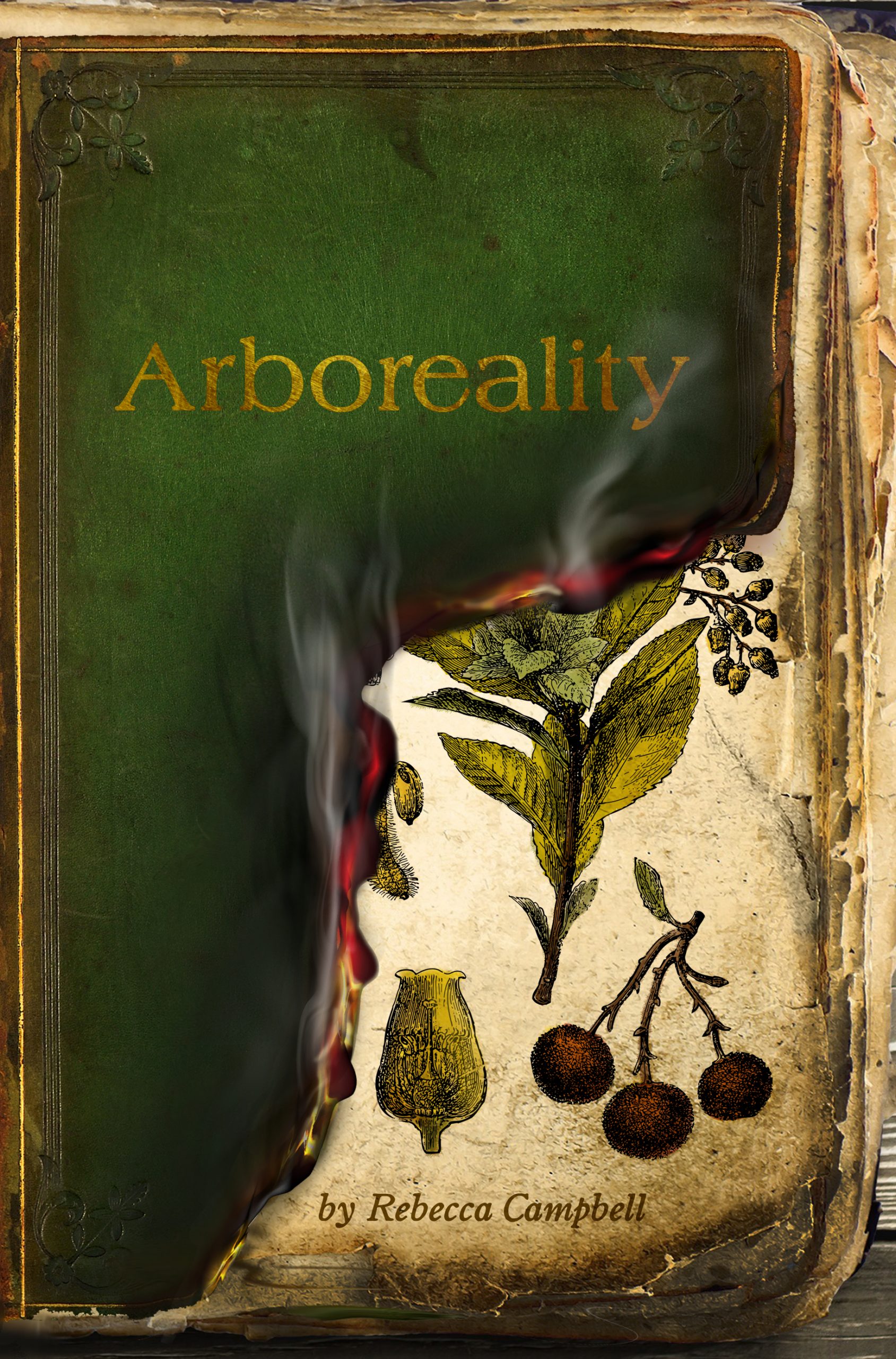 cover image Arboreality