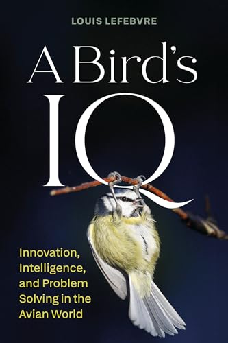 cover image A Bird’s IQ: Innovation, Intelligence, and Problem Solving in the Avian World