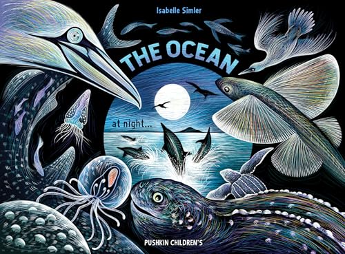cover image The Ocean at Night (Nature at Night)