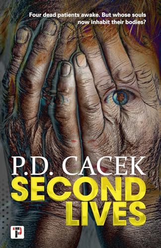 cover image Second Lives