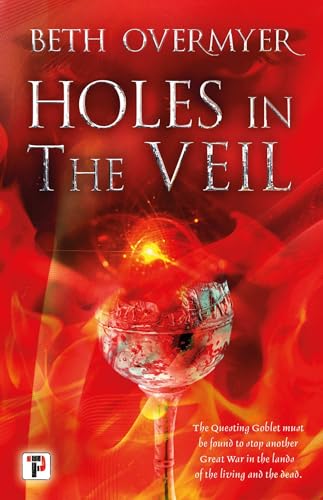 cover image Holes in the Veil