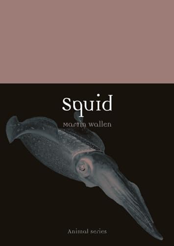 cover image Squid