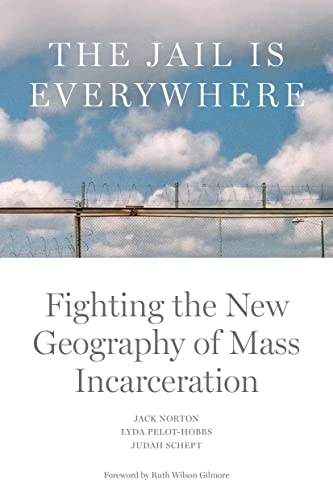 cover image The Jail Is Everywhere: Fighting the New Geography of Mass Incarceration