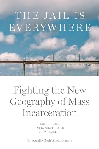 cover image The Jail Is Everywhere: Fighting the New Geography of Mass Incarceration