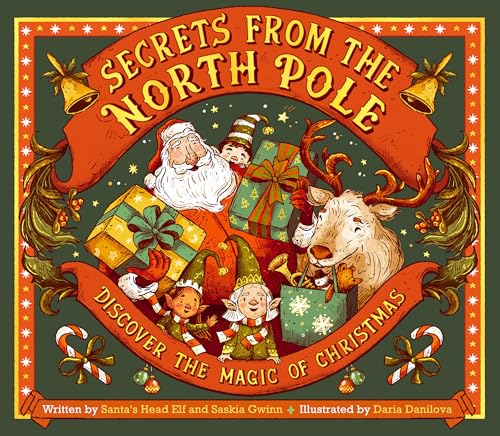 cover image Secrets from the North Pole 