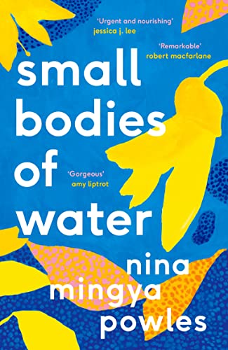 cover image Small Bodies of Water