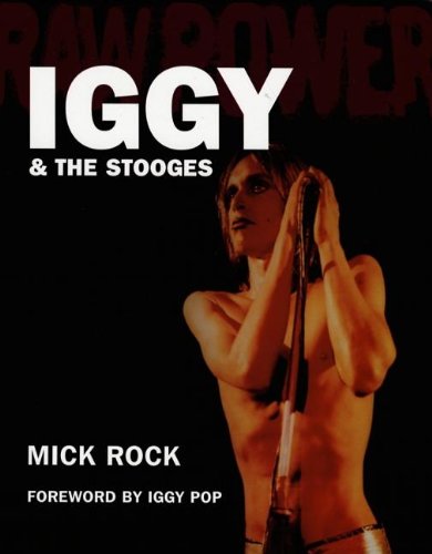 cover image Raw Power: Iggy & the Stooges