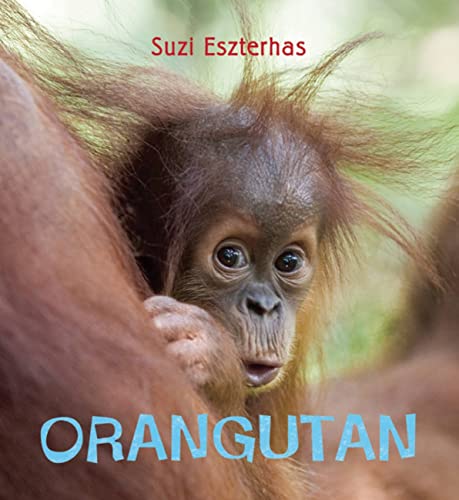 cover image Orangutan