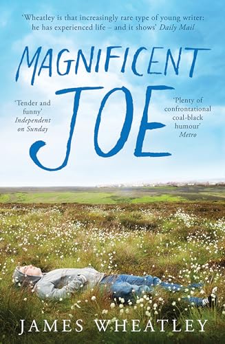 cover image Magnificent Joe