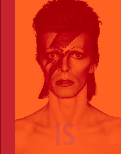 cover image David Bowie Is