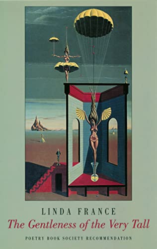 cover image The Gentleness of the Very Tall