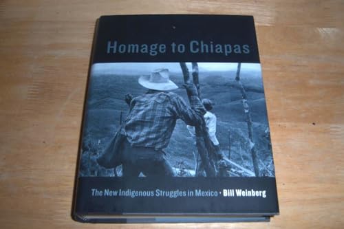 cover image Homage to Chiapas: The New Indigenous Struggles in Mexico