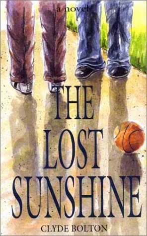 cover image The Lost Sunshine
