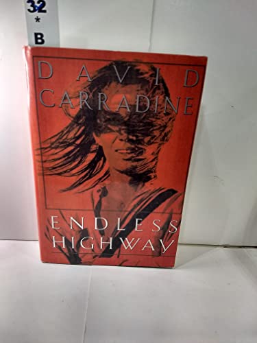 cover image Endless Highway
