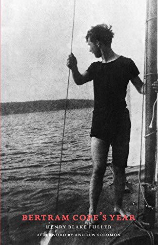 cover image Bertram Cope's Year