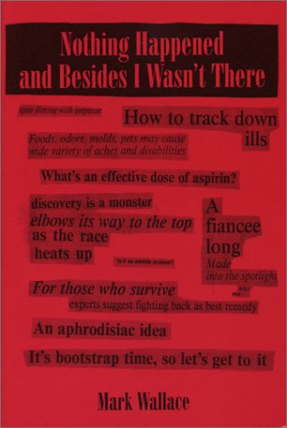 cover image Nothing Happened and Besides I Wasn't There