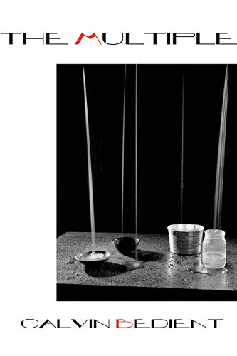 cover image The Multiple