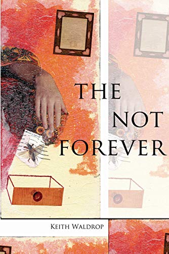 cover image The Not Forever