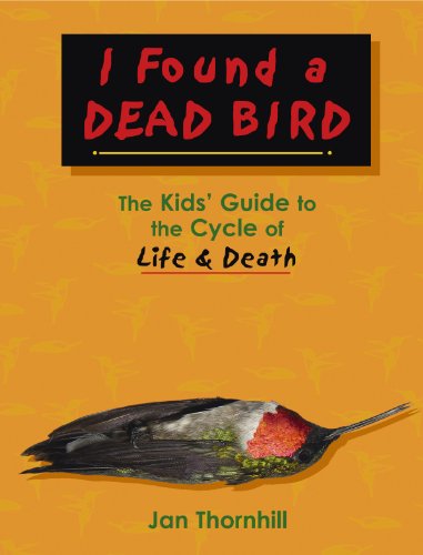 cover image I Found a Dead Bird: The Kids' Guide to the Cycle of Life & Death
