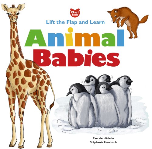 cover image Animal Babies