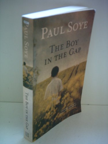 cover image The Boy in the Gap