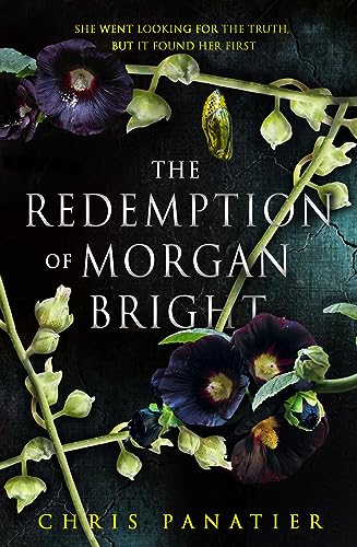cover image The Redemption of Morgan Bright