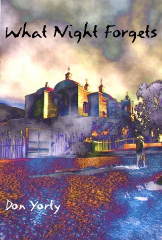 cover image What Night Forgets