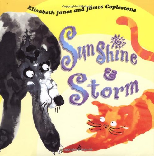 cover image SUNSHINE & STORM