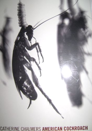 cover image American Cockroach