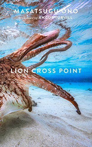 cover image Lion Cross Point 