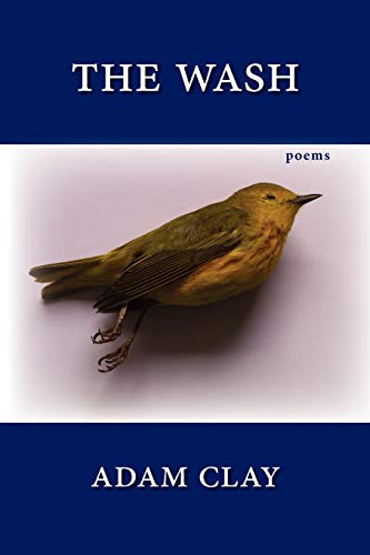 cover image The Wash