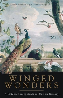 Winged Wonders: A Celebration of Birds in Human History