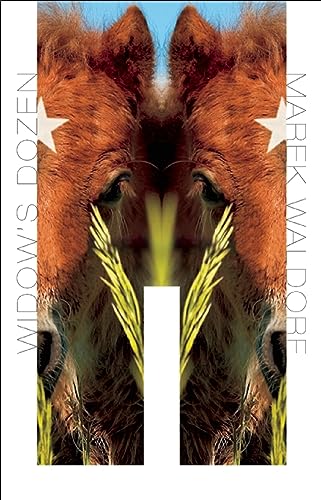 cover image Widow’s Dozen