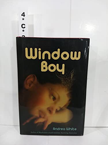 cover image Window Boy