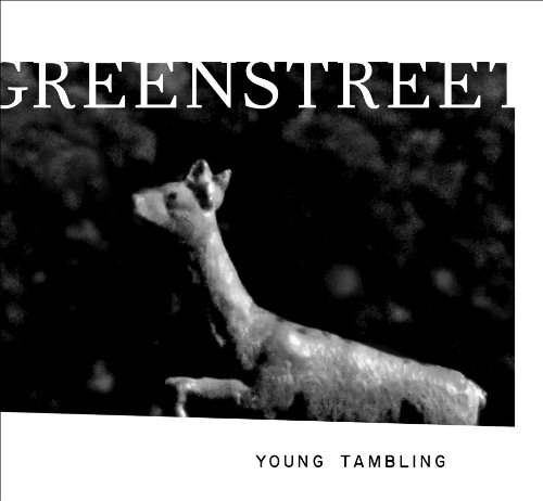 cover image Young Tambling