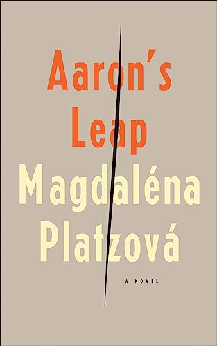 cover image Aaron’s Leap