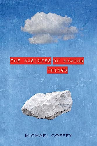 cover image The Business of Naming Things